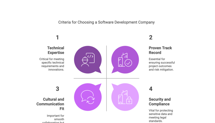 Criteria for Choosing a Software Development Company